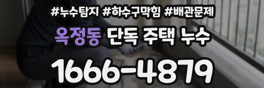 옥정동 단독 주택 누수