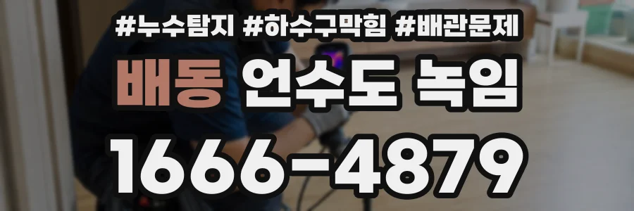 배동 언수도 녹임