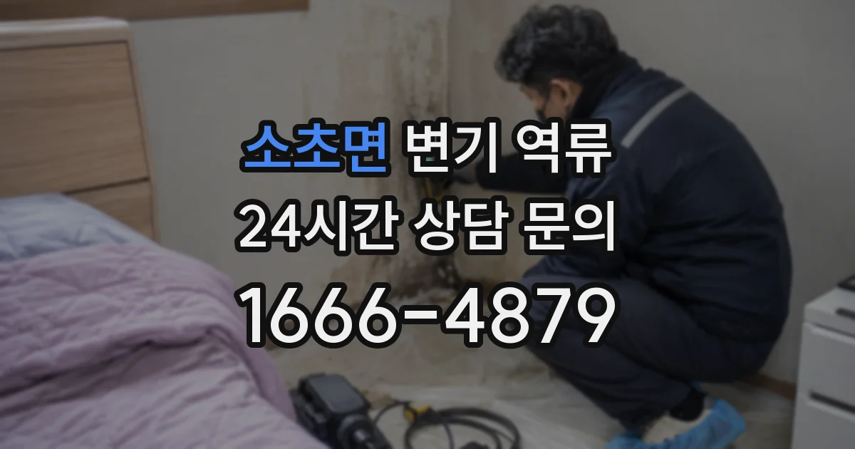 소초면 변기 역류