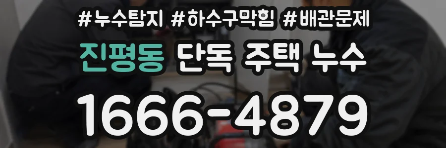 진평동 단독 주택 누수