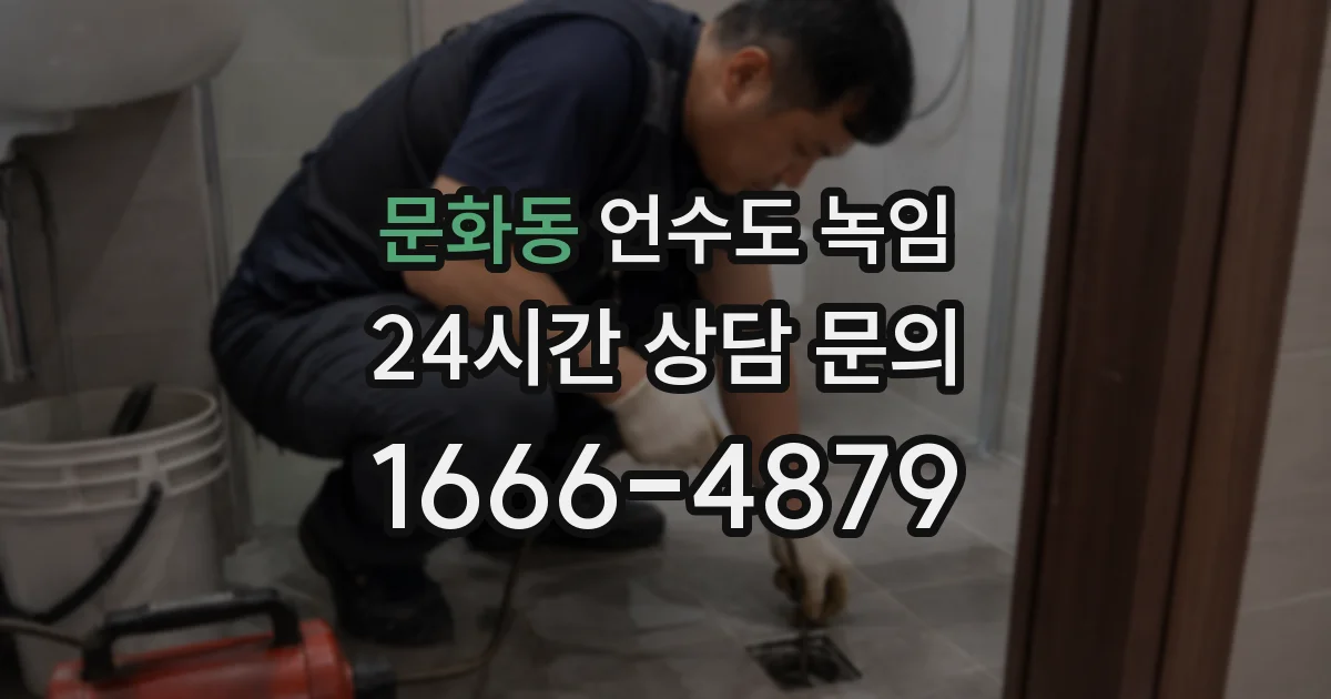 문화동 언수도 녹임