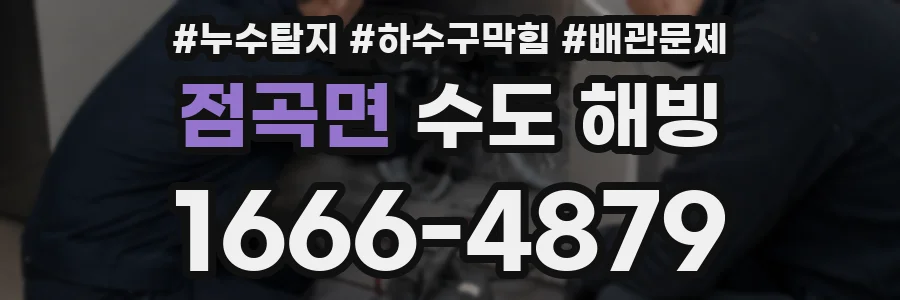 점곡면 수도 해빙