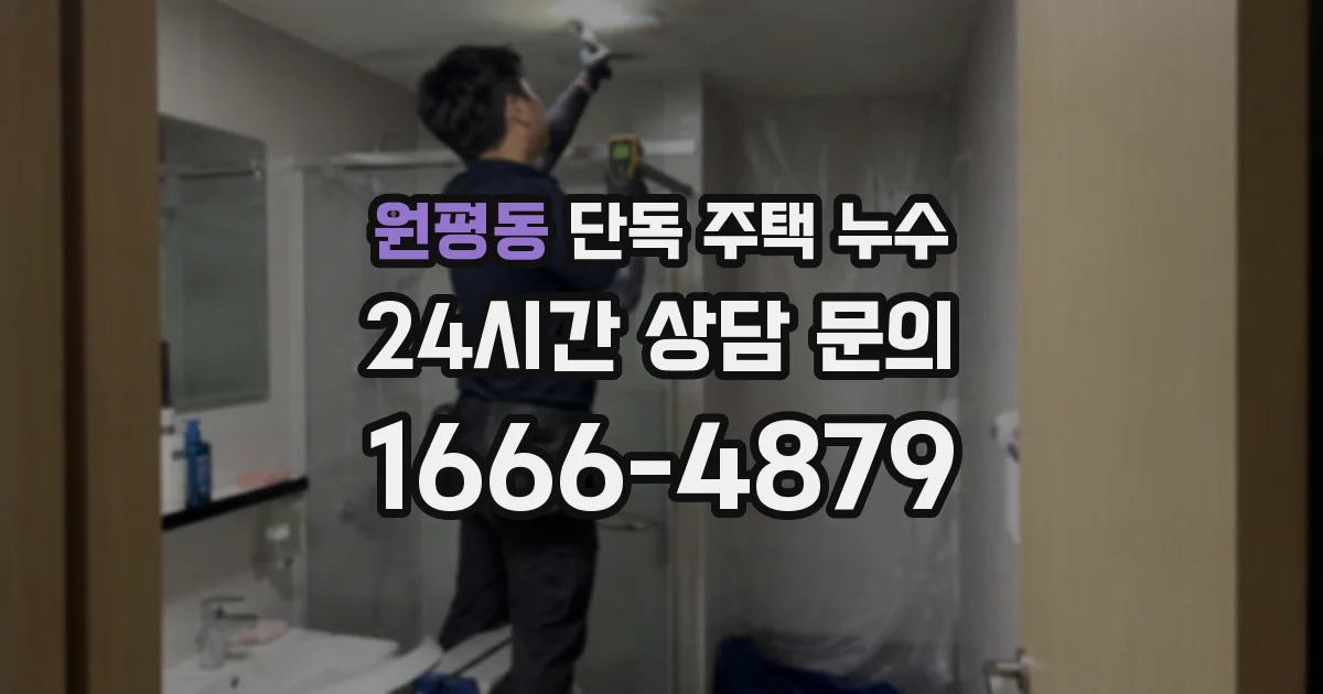 원평동 단독 주택 누수