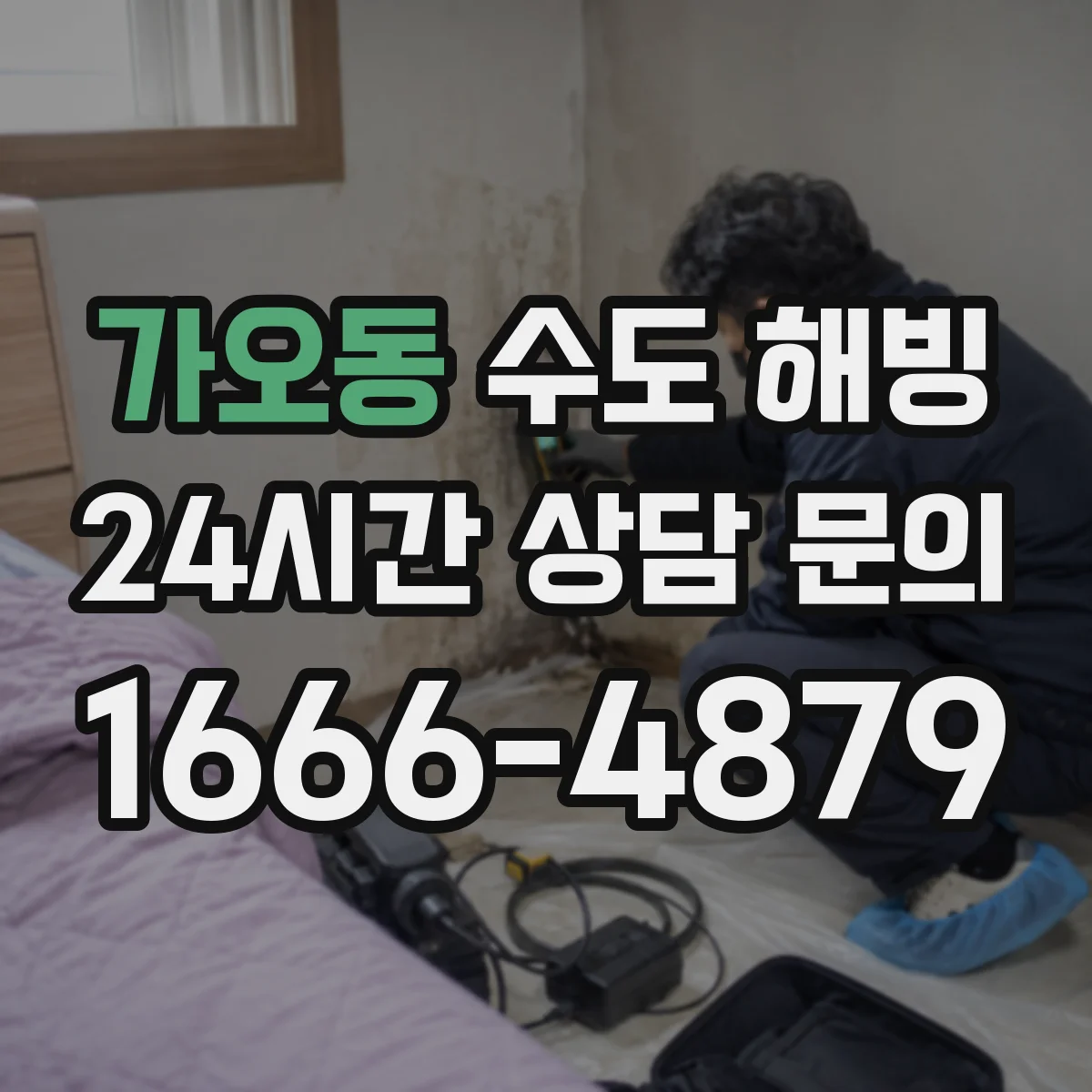 가오동 수도 해빙