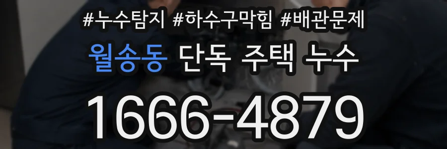 월송동 단독 주택 누수