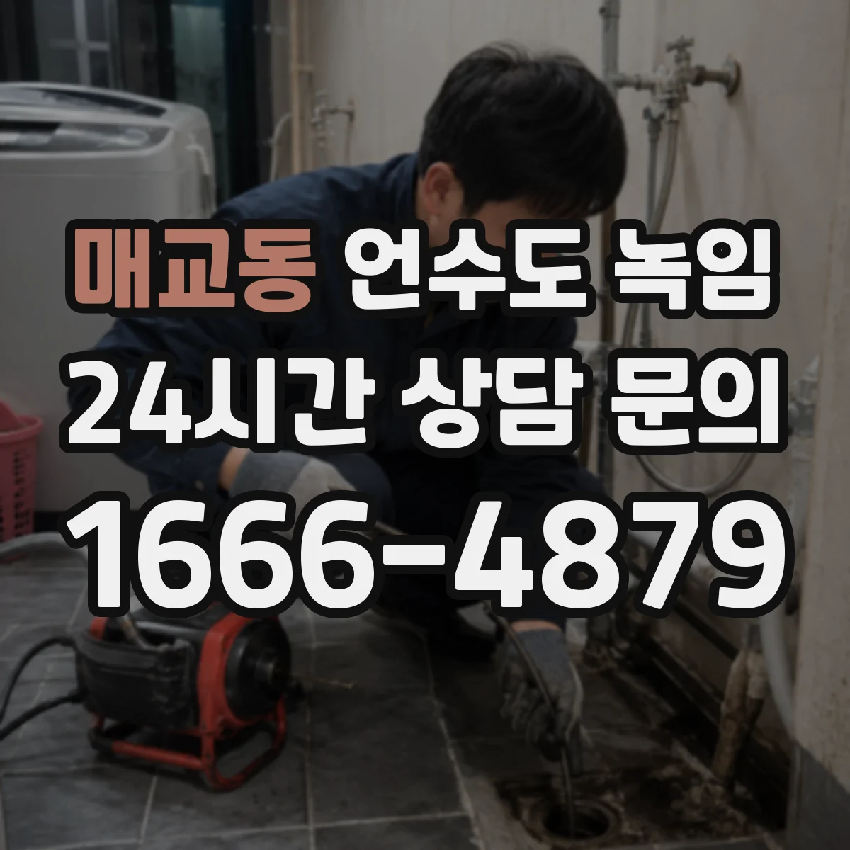 매교동 언수도 녹임
