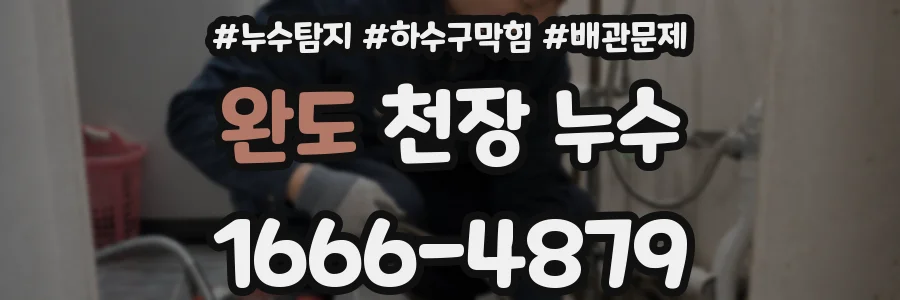 완도 천장 누수