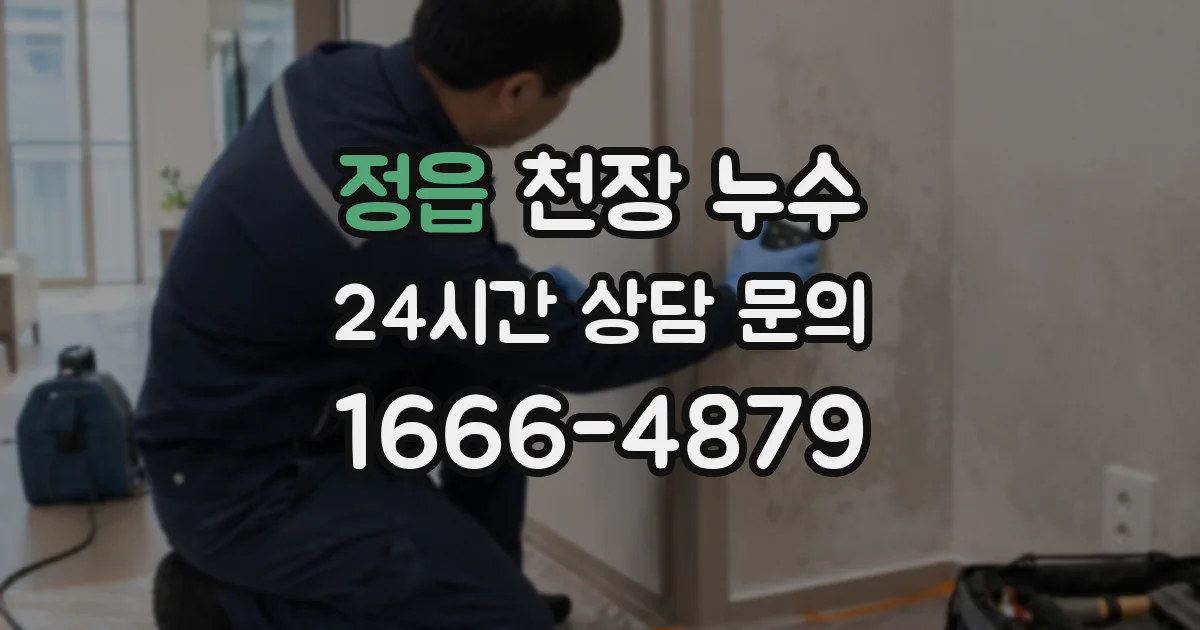 정읍 천장 누수