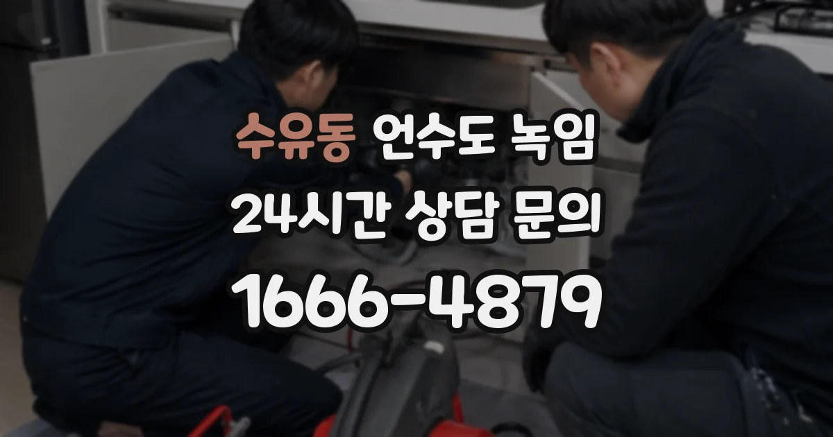 수유동 언수도 녹임