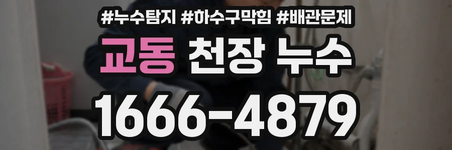 교동 천장 누수