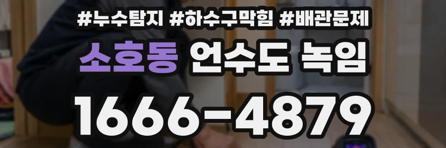 소호동 언수도 녹임