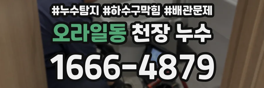 오라일동 천장 누수