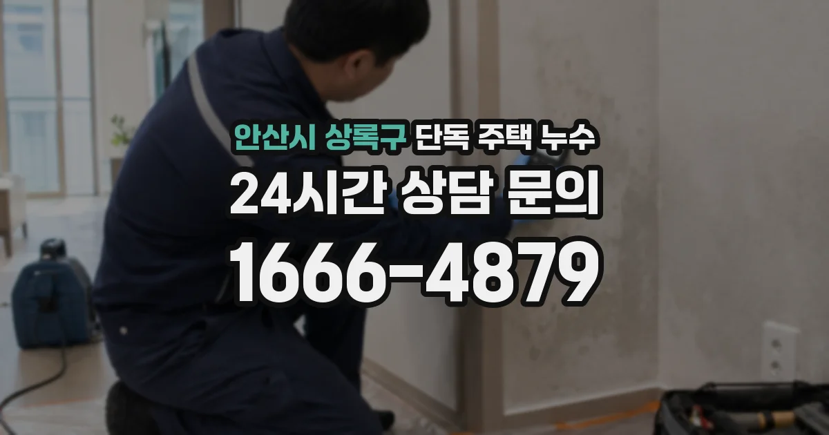 안산시 상록구 단독 주택 누수