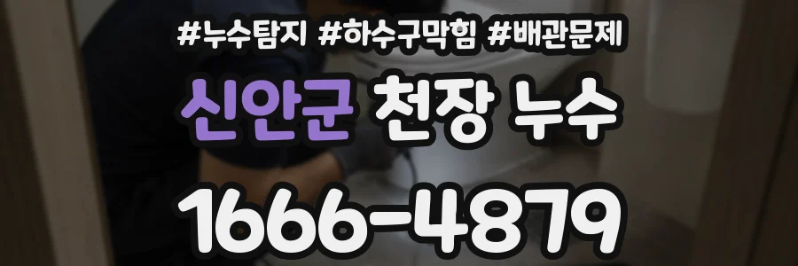 신안군 천장 누수