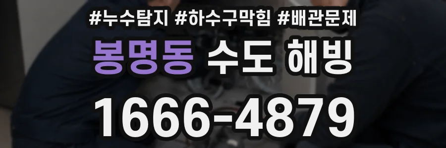 봉명동 수도 해빙