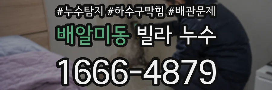 배알미동 빌라 누수