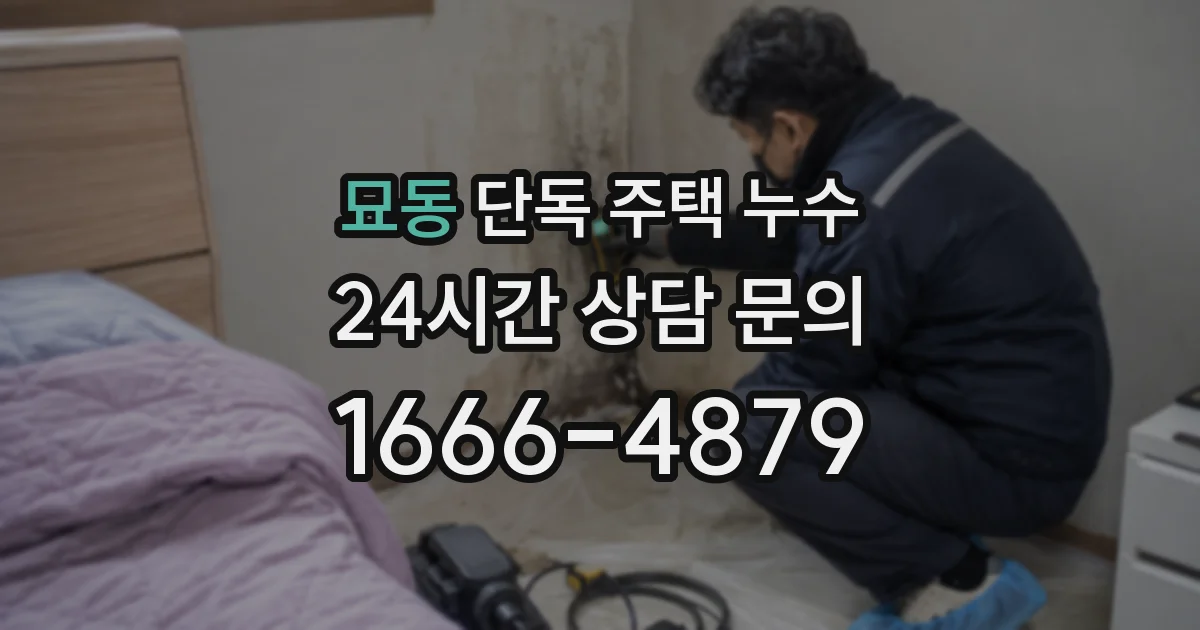 묘동 단독 주택 누수