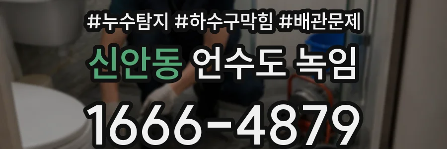 신안동 언수도 녹임