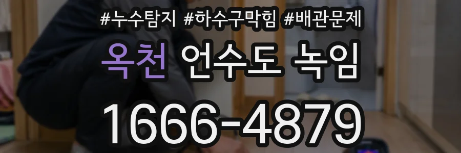 옥천 언수도 녹임