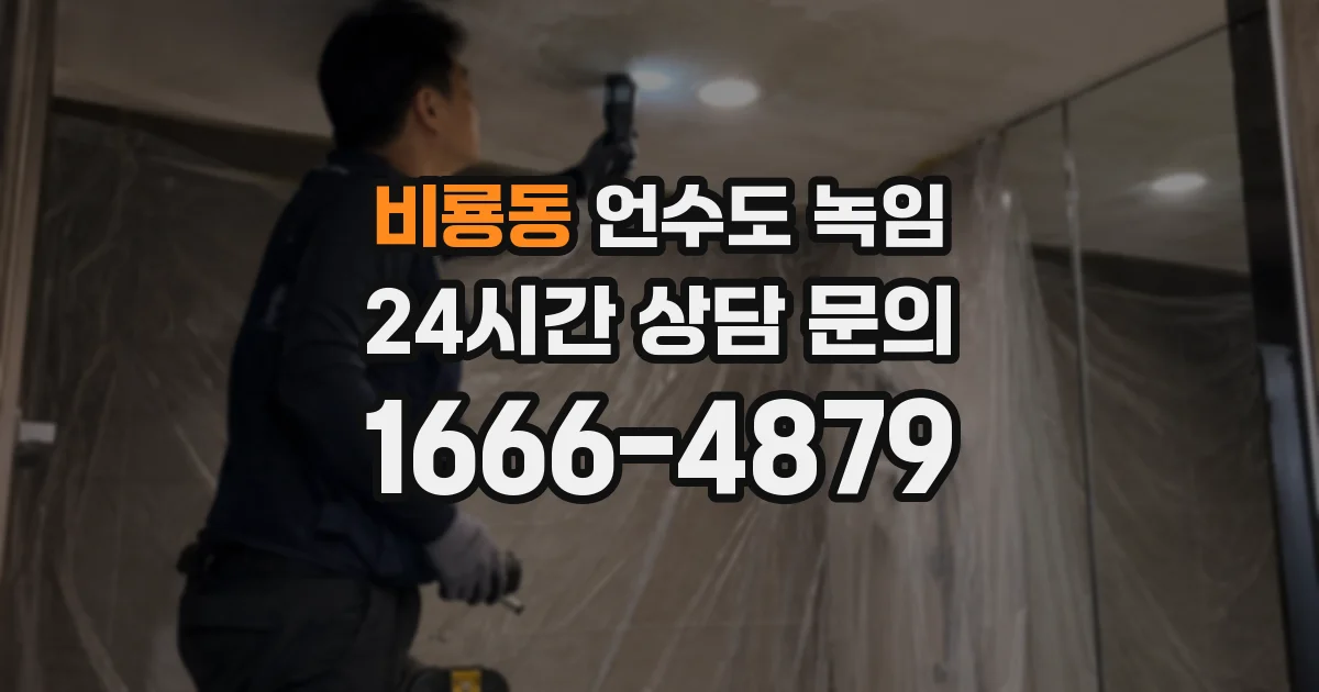 비룡동 언수도 녹임