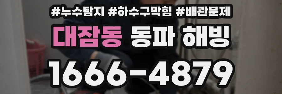 대잠동 동파 해빙