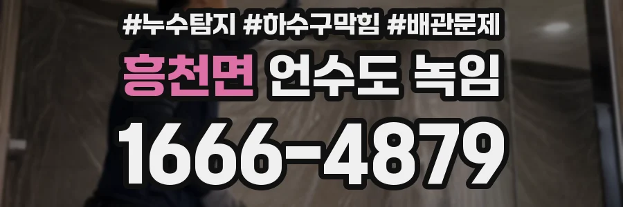 흥천면 언수도 녹임