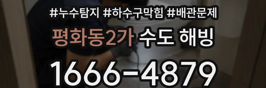 평화동2가 수도 해빙
