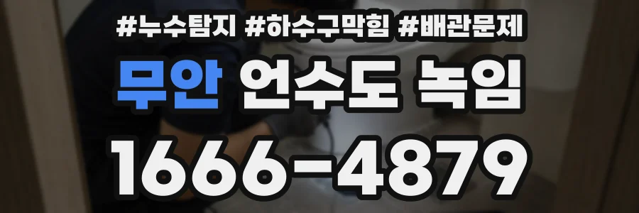 무안 언수도 녹임