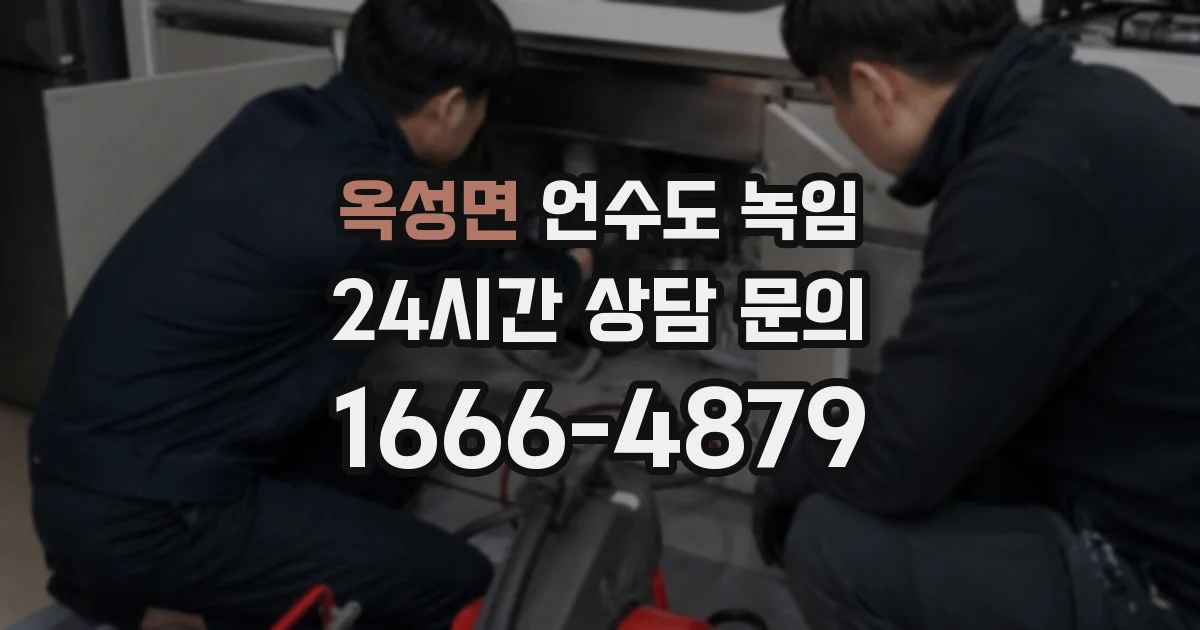 옥성면 언수도 녹임
