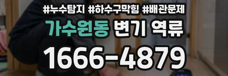 가수원동 변기 역류