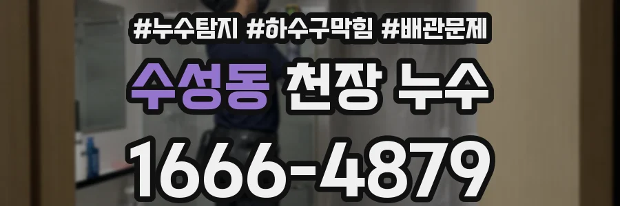 수성동 천장 누수