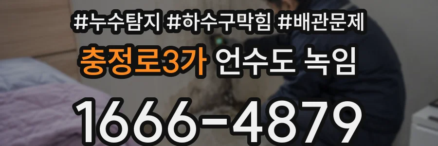 충정로3가 언수도 녹임