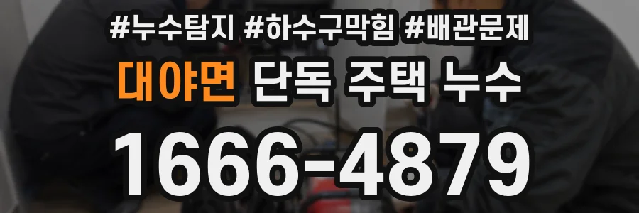 대야면 단독 주택 누수