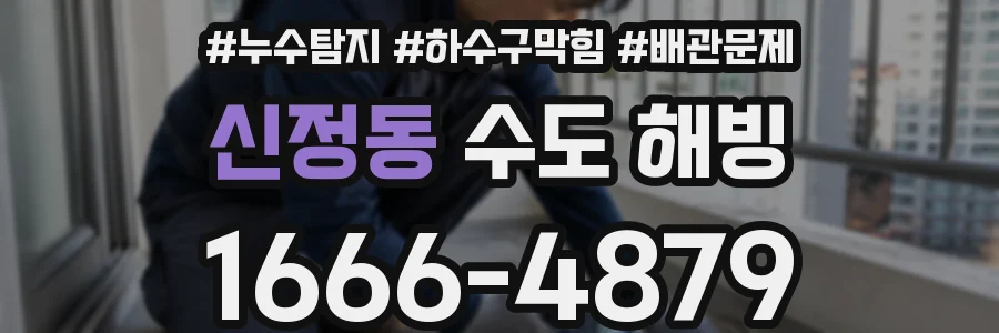 신정동 수도 해빙