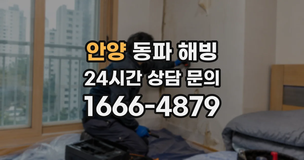 안양 동파 해빙