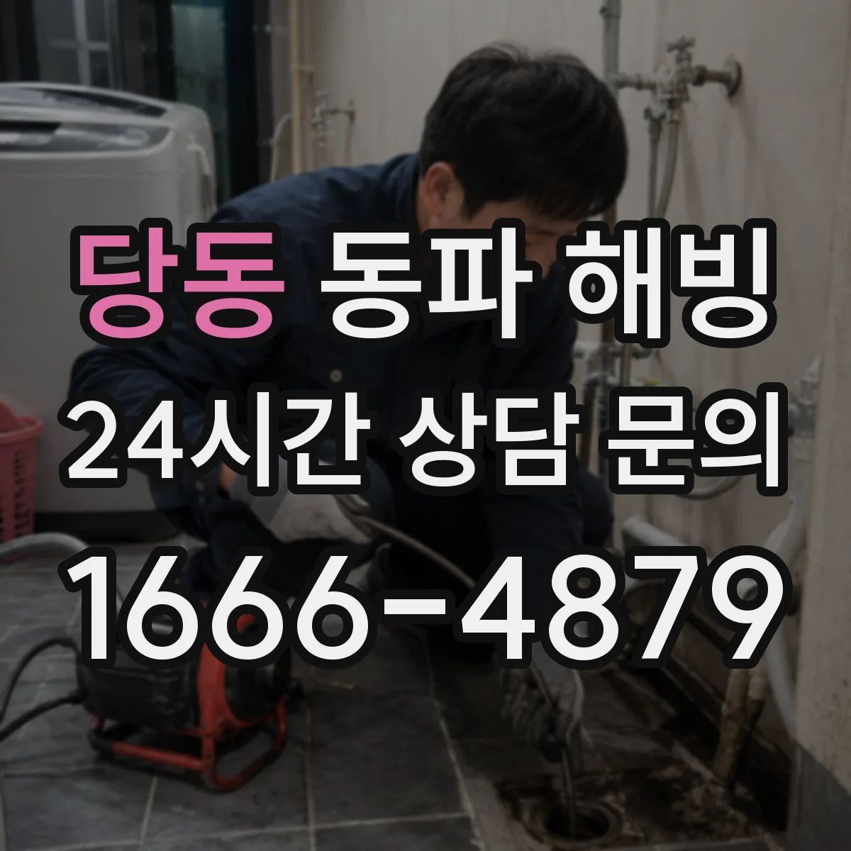 당동 동파 해빙