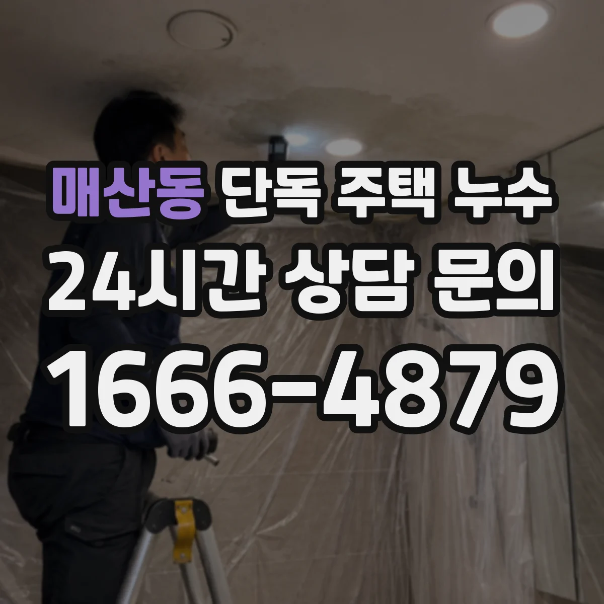 매산동 단독 주택 누수