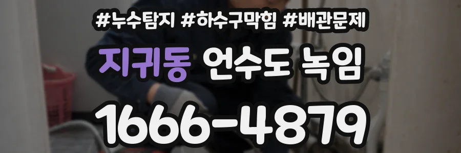 지귀동 언수도 녹임