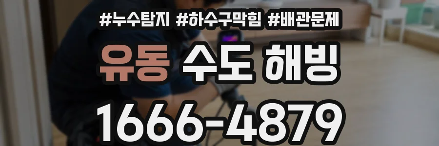 유동 수도 해빙