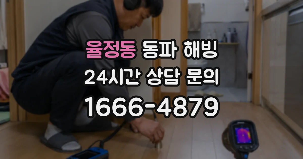 율정동 동파 해빙