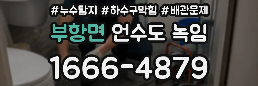 부항면 언수도 녹임