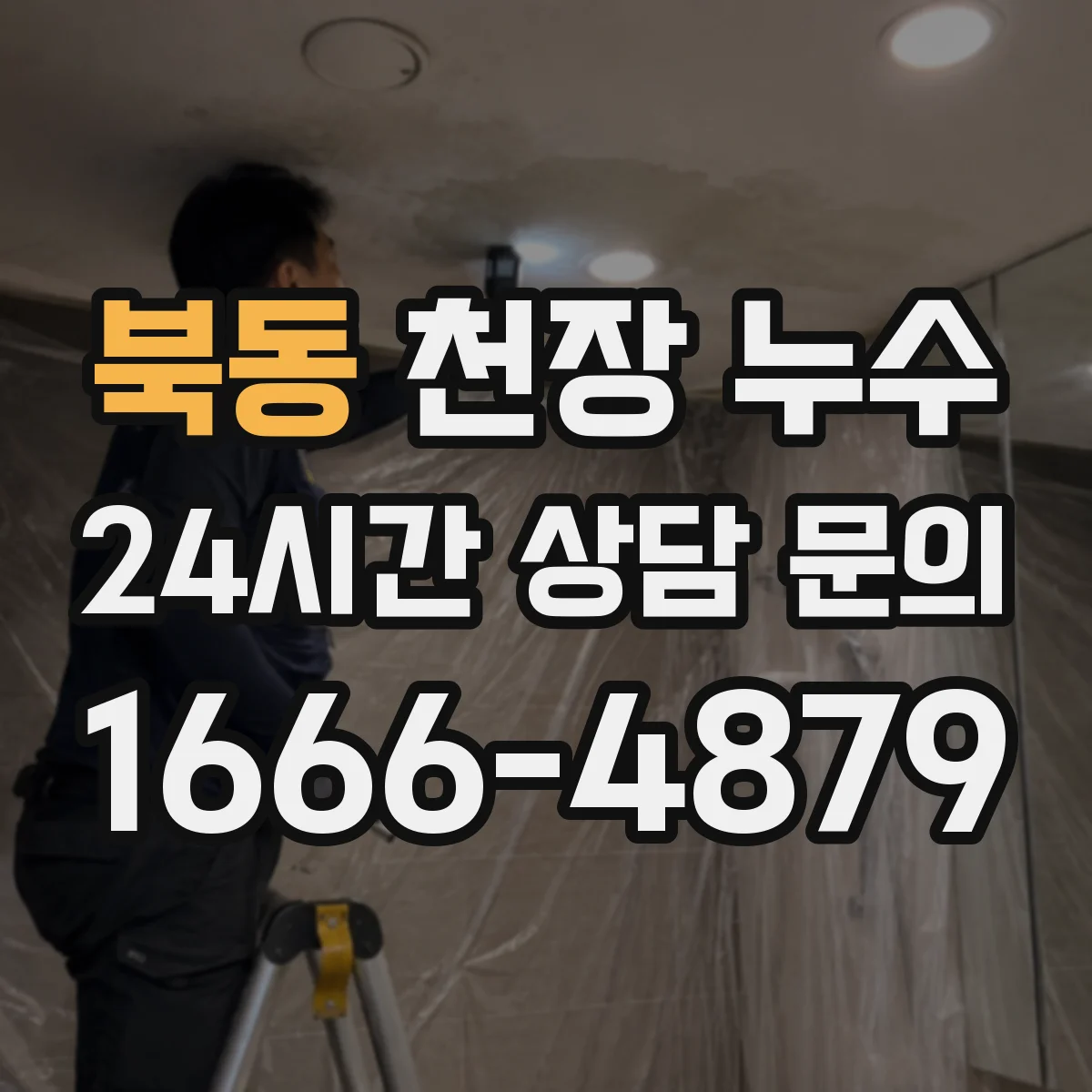 북동 천장 누수