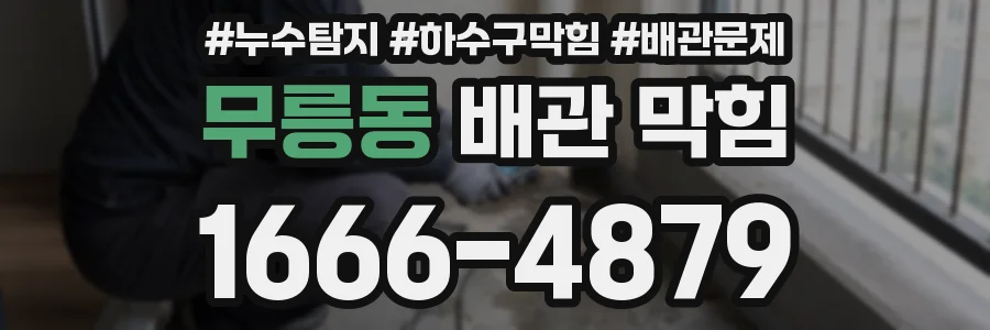 무릉동 배관 막힘