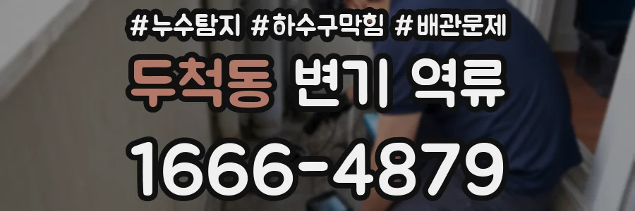 두척동 변기 역류