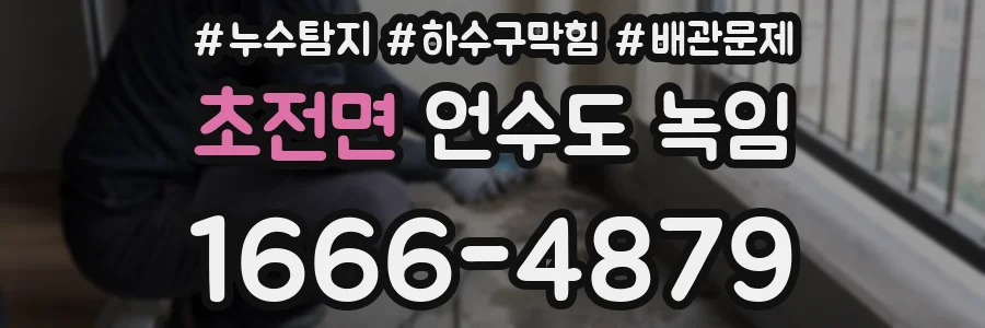 초전면 언수도 녹임