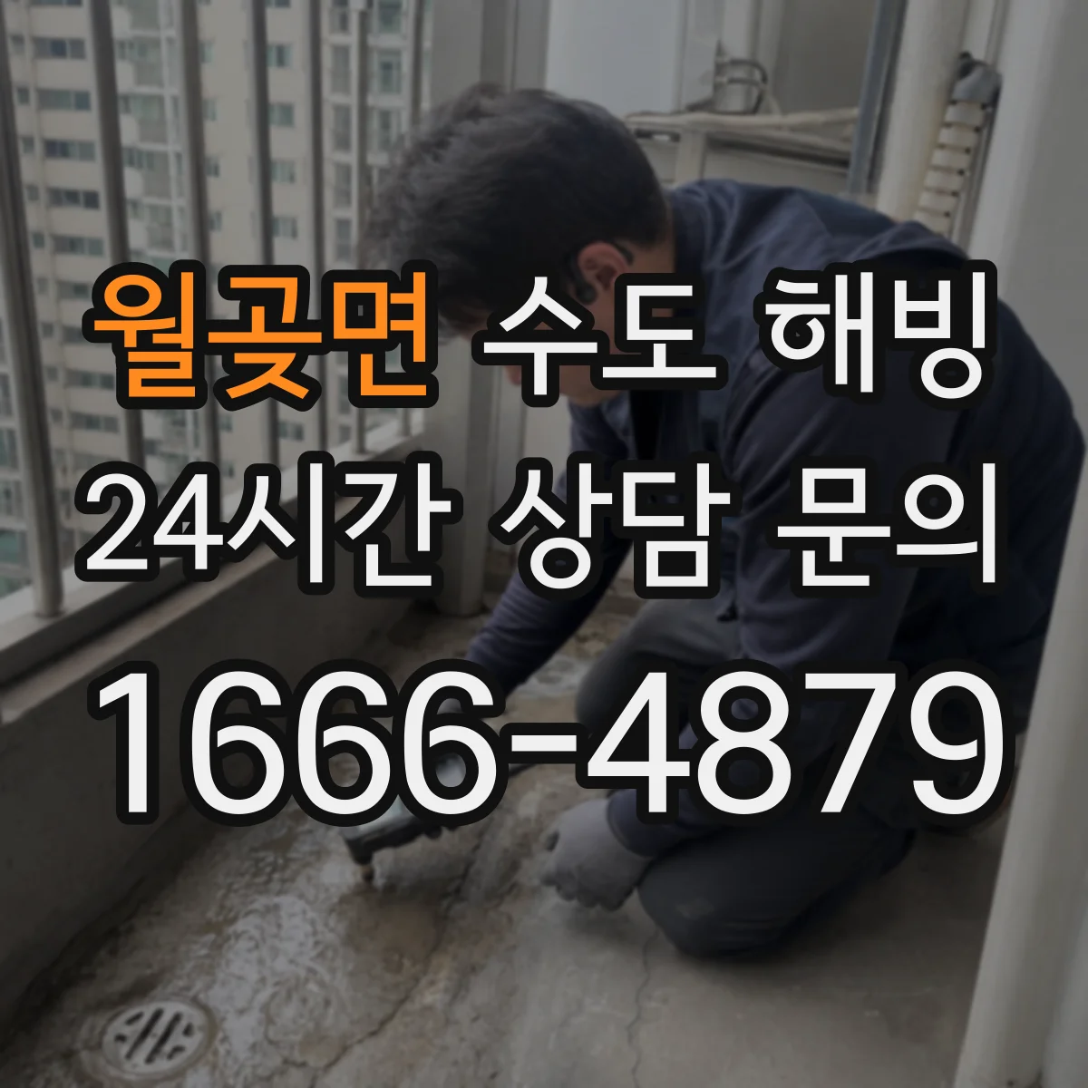 월곶면 수도 해빙