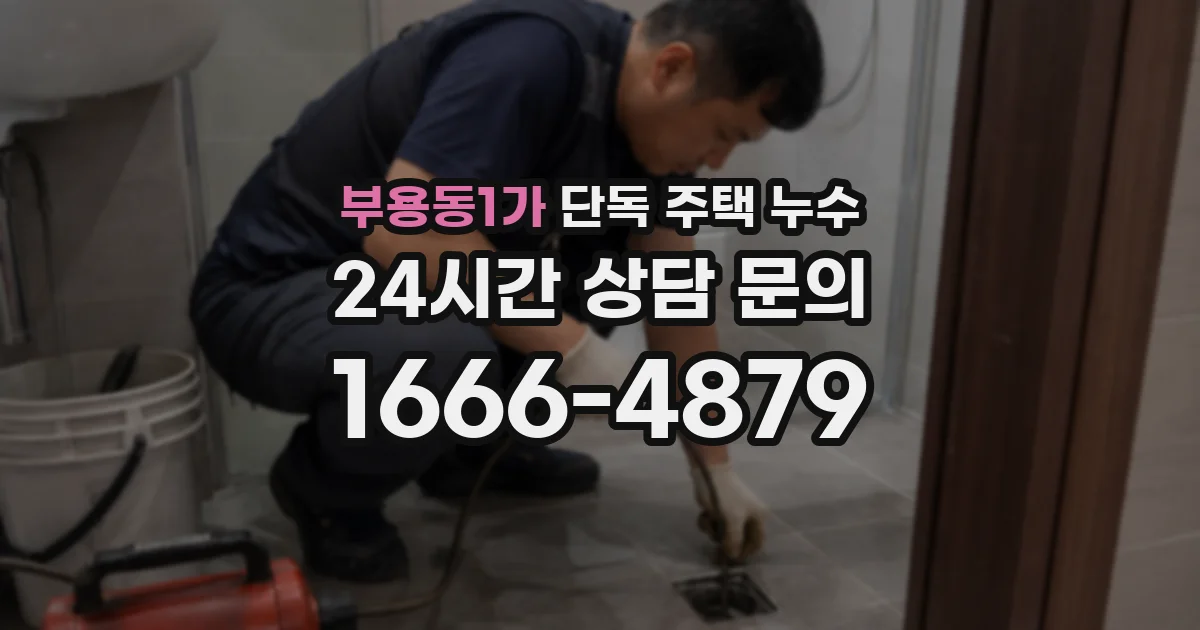 부용동1가 단독 주택 누수