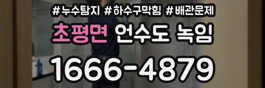 초평면 언수도 녹임