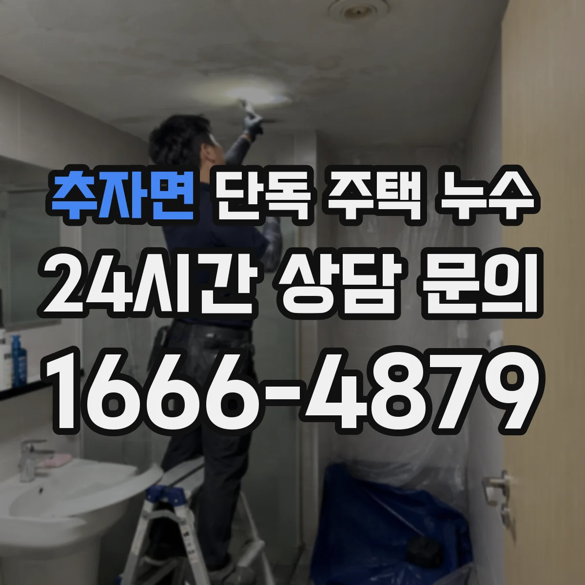 추자면 단독 주택 누수