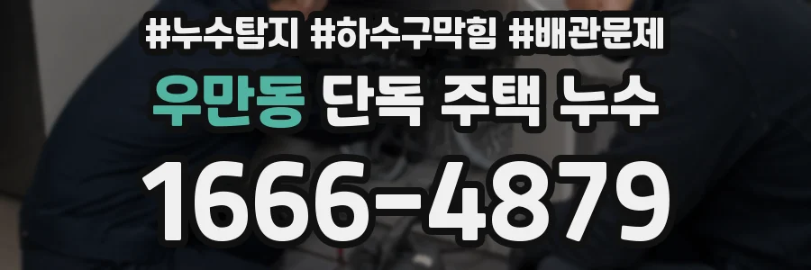 우만동 단독 주택 누수
